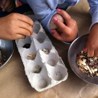 Six Simple Reasons To Introduce Kids to Seed Saving